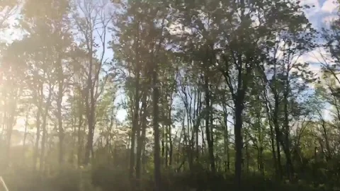 View from the window of a high-speed train Stock Footage 76212344
