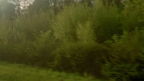 View from window of high-speed train on landscape of beautiful nature wild field Stock Footage 157026103