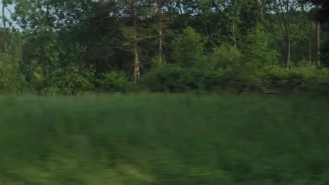View from window of high-speed train on landscape of beautiful nature wild field Stock Footage 157533676