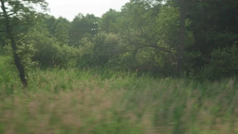 View from window of high-speed train on landscape of beautiful nature wild field Stock Footage 157698120