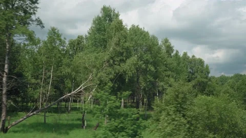 View from window of high-speed train on landscape of beautiful nature Birch Stock Footage 157788370