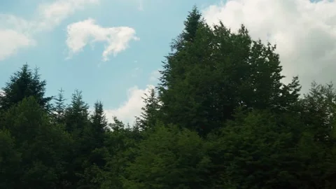 View from window of high-speed train on landscape of beautiful nature wild field Video stock 159443813