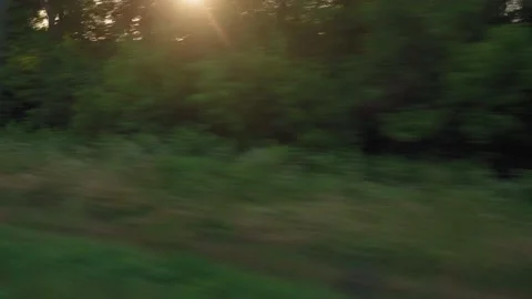 View from window of high-speed train on landscape of beautiful nature wild field Stock Footage 159677525