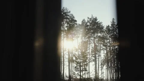 The view from the window in the house is of a beautiful landscape of sunlight Stock Footage 321946941