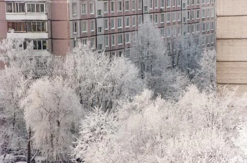 The view from the window of the house in the winter, on trees-fallen snow. Foto stock