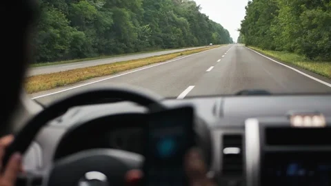 View from the window of a moving car on the road through the forest Video stock 169518459