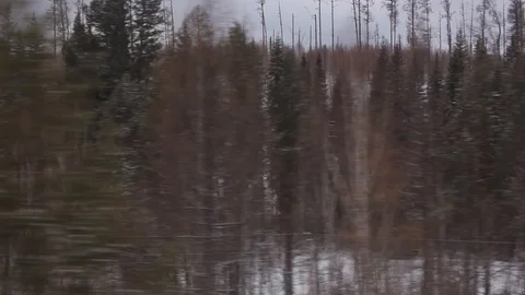 View from the window of a moving train Видео 105233184