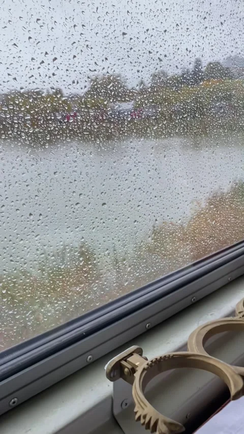 View from the window of a moving train. Video stock 195345597