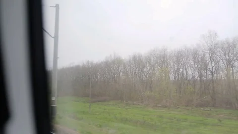 View from the window of moving train. Green nature, sunny day in the view. Stock Footage 81267439