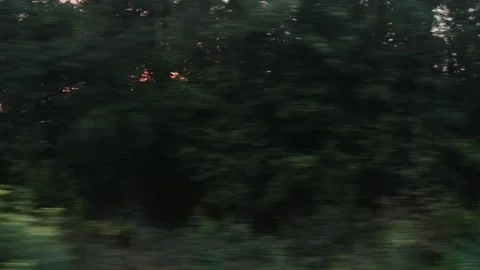 View from the window of a moving train on green trees in the forest against the Stock Footage 315513807