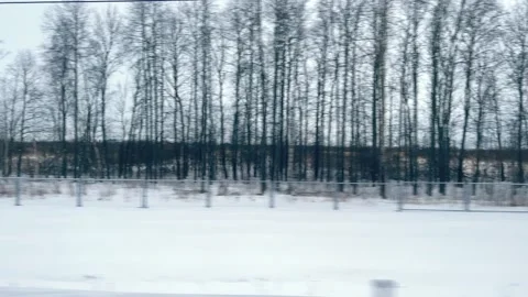 View from the window of moving train on snow-covered trees and fields on cloudy Stock Footage 168860170