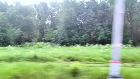 View from the window of a moving train on the surrounding landscape with trees. Stock Footage 285552671