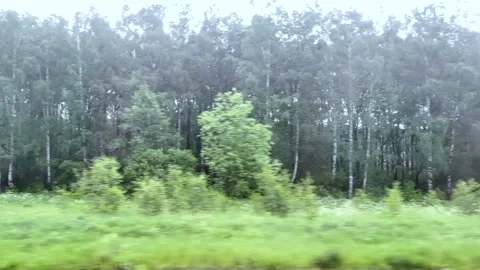 View from the window of a moving train on the surrounding landscape. Stock Footage 286039512
