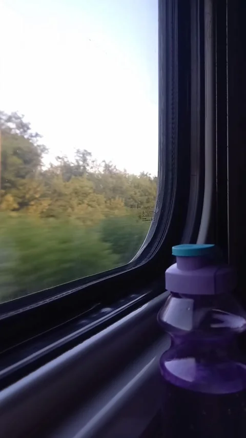 View from window of moving train. Traveling by rail in Ukraine in summer. Stock Footage 280141714