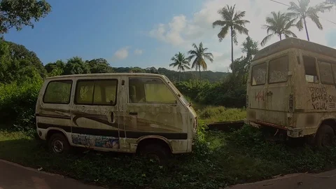 View from the window to nature Vídeos de archivo 129335416