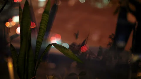 The view from the window. night traffic Stock Footage 22572419