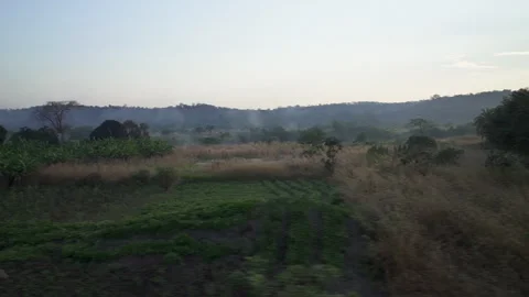 View From Window Of Old Train Moves On Countryside , Cameroon Stock Footage 255767236