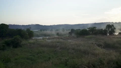 View From Window Of Old Train Moves On Countryside , Cameroon Stock Footage 255767237