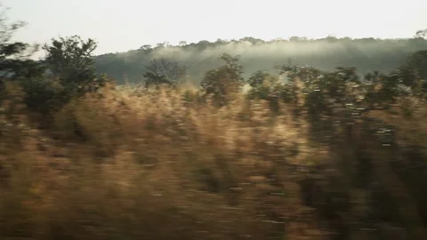 View From Window Of Old Train Moves On Countryside , Cameroon Stock Footage 255768115