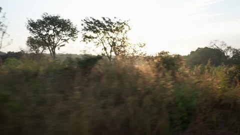 View From Window Of Old Train Moves On Countryside , Cameroon Stock Footage 255769366