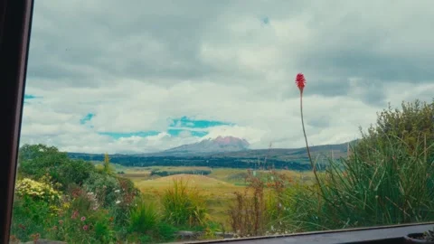View from a window overlooking Cotopaxi volcano with vibrant wildflowers and 스톡 동영상 345092260