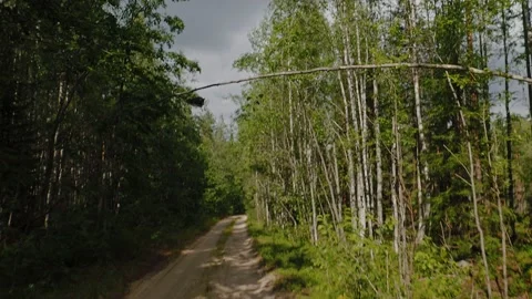 View from the window of a passing car. Dirt road in Karelia, Russia 스톡 동영상 143294628