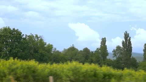 View from the window of a passing car, driving past a forest and a mountain Stock Footage 111150896