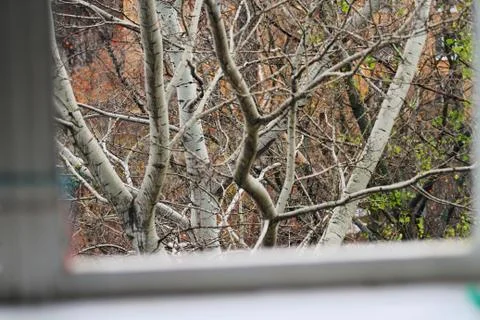 The view from the window Stock Photos