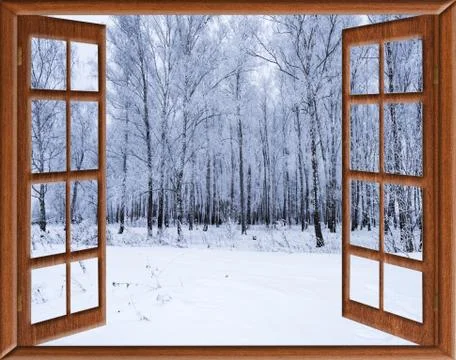 View from the window on the Photos