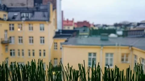 View from window Stock Photos