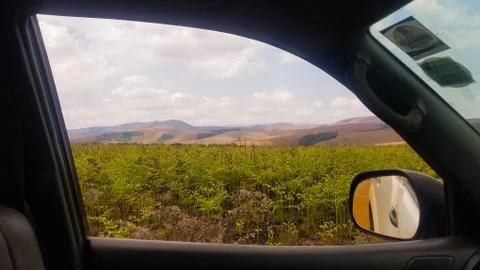 View from the window Stock Photos