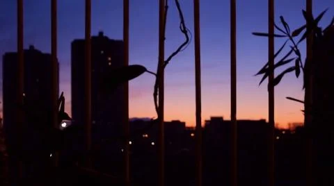 View from the window at the pink sunset through the bars.  Foto stock