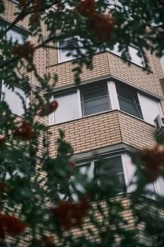 A view of the window of a residential building through the branches of a rowa Stock Photos
