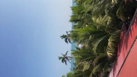 View from the window of the resort hotel to the palm trees and the sea Stock Footage 274670246