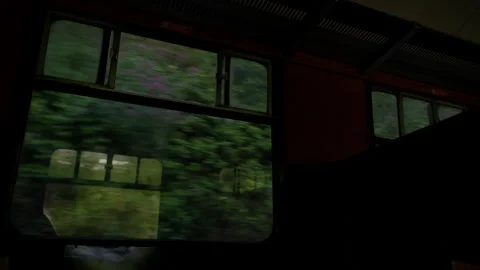 View from the window of a retro train to green plants and trees. Stock Footage 280146486