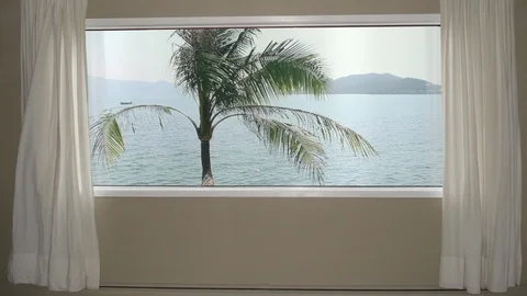View from window in room hotel palm tree on background blue sea water and hills Stock Footage 89639470