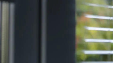 View from the window on the rowan tree Video stock 41636742