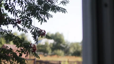 A view from the window of a rural landscape. Video stock 315679353