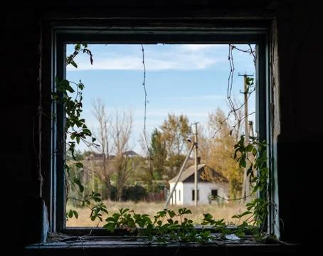 View from the window of a rustic house with trees and a blue sky with clouds Stockfoto's