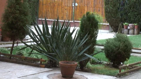 The view from the window of a small park in the yard 動画素材 37750409