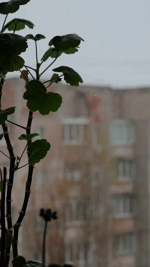 View window on snowy winter in city. Architecture eastern europe, soviet union Stock Footage 293083564