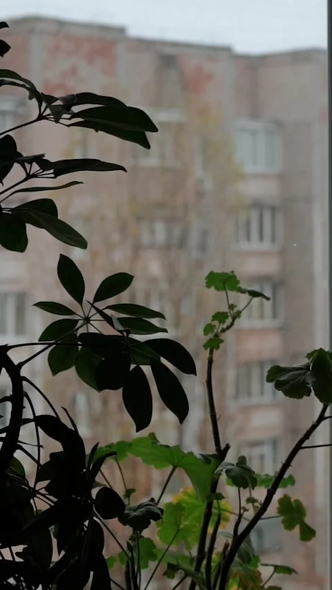 View window on snowy winter in city. Architecture eastern europe, soviet union Stock Footage 293083663