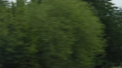 View from window of speed train on landscape of yellow wheat field, Stock Footage 141175639