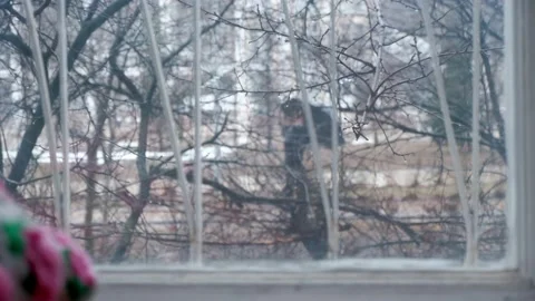 View from the window to the street with cloudy weather. Stock Footage 153550608