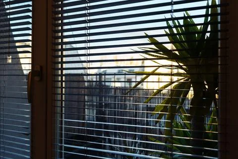 View from window sunset through blinds Фото