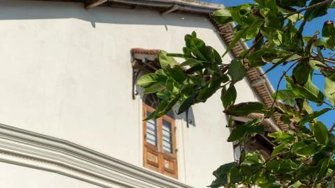 View Of The Window Through The Green Branch Photos