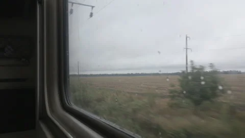 View from the window of the train car on the field Stock Footage 158994130
