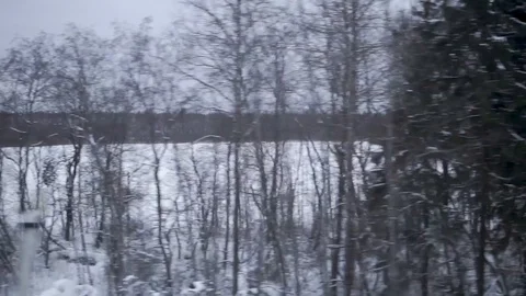View from the window of the train car, winter landscape Vídeos de archivo 103389544