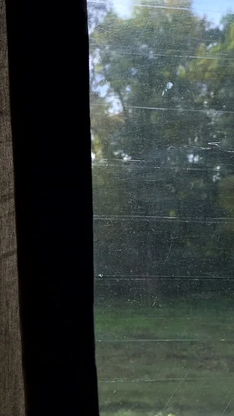The view from the window of the train Stock Footage 220702298
