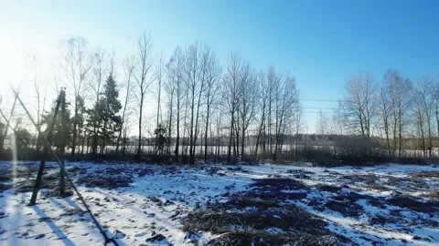 The view from the window of the train in motion on the winter forest landscapes Video stock 166207191